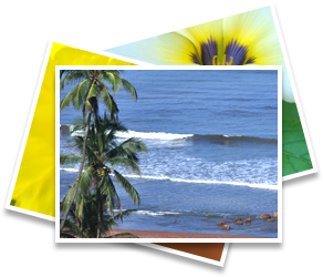 Dapoli - A complete holiday destination